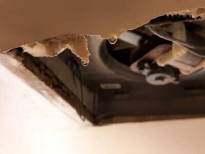 Professional water damage restoration services in Cape Coral